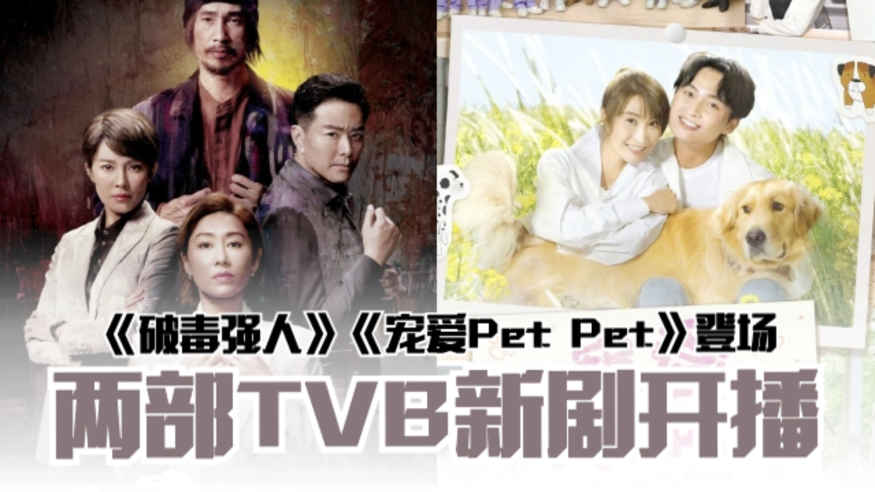 tvb731640-transparent.png